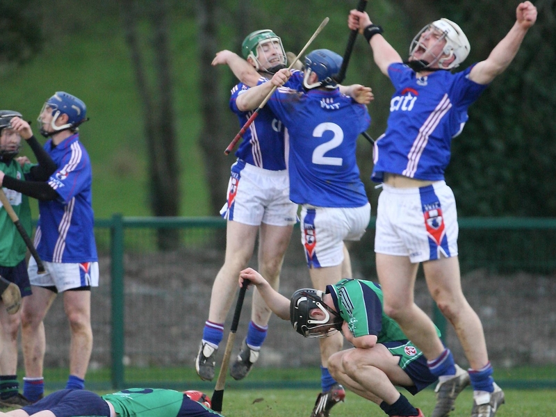 Waterford IT players celebrate at the final whistle