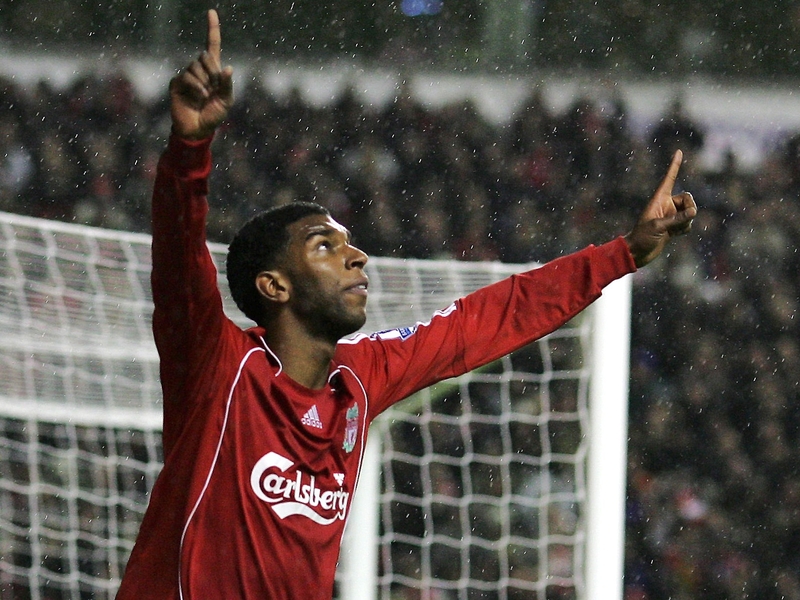 Ryan Babel will miss Euro 2008 after tearing ankle ligaments in training