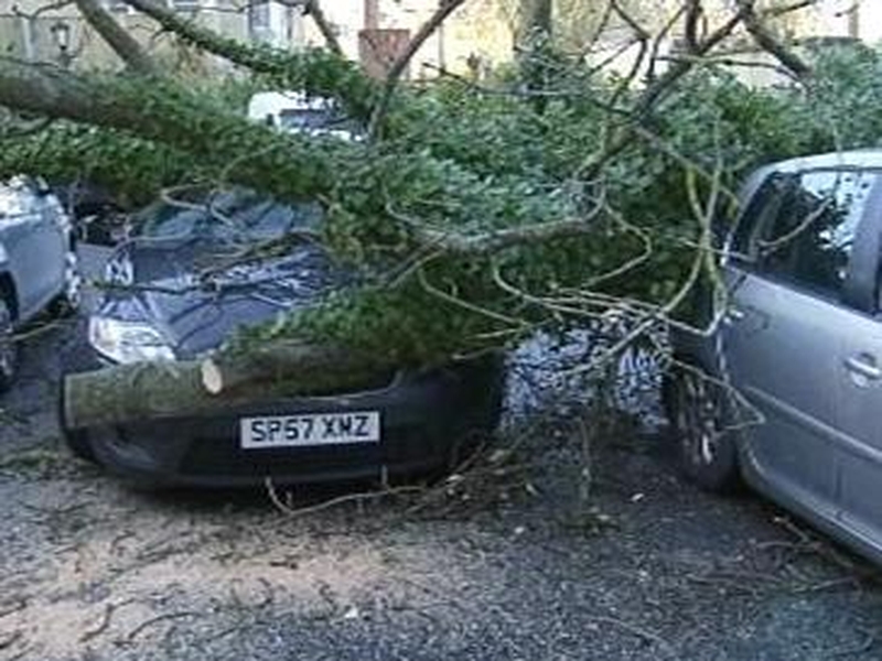 City West - Trees fell damaging cars