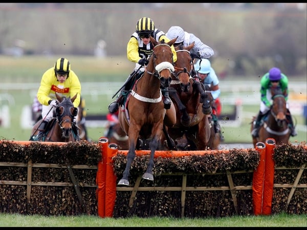 Jason Maguire will be fit to partner Whiteoak at the Festival