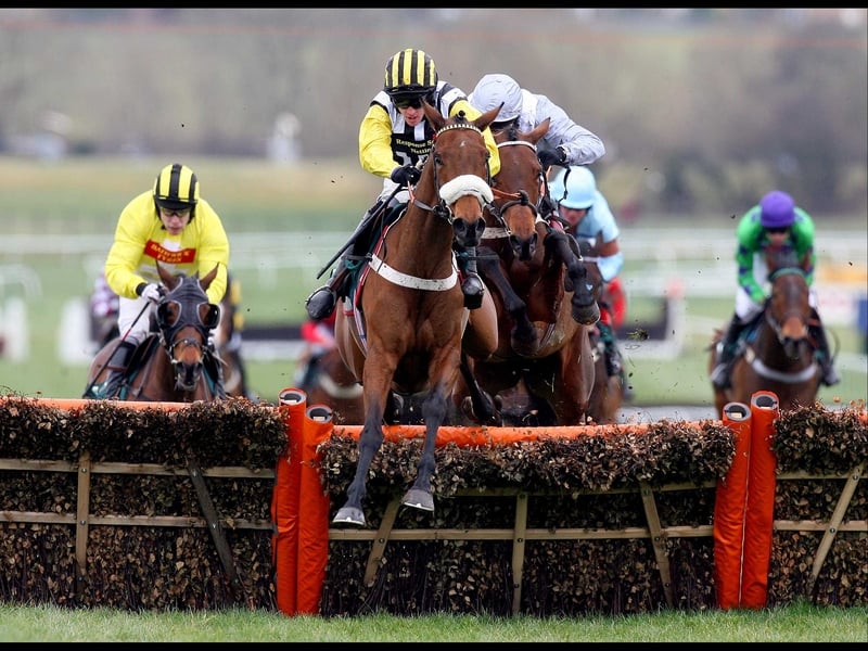 Jason Maguire will be fit to partner Whiteoak at the Festival