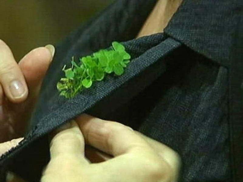 Shamrock ceremony - Taoiseach invited