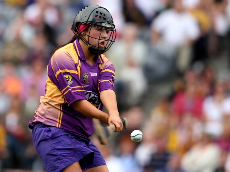 Wexford - 2010 Camogie National League Division 1 champions