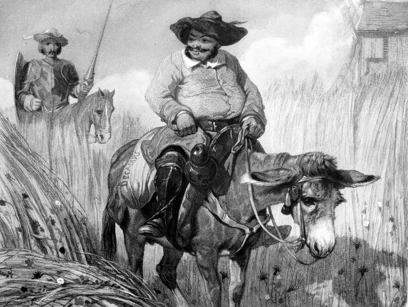 Don Quixote - 21-year-old donkey retires from ballet