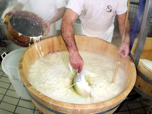 Mozzarella - Milk contaminated