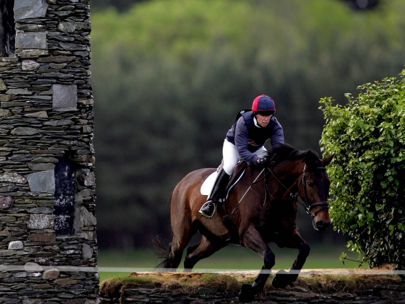 Karen Rodgers, who was tragically killed at the Ballindenisk One-Day Event, and her horse Kilcoltrim Brigade