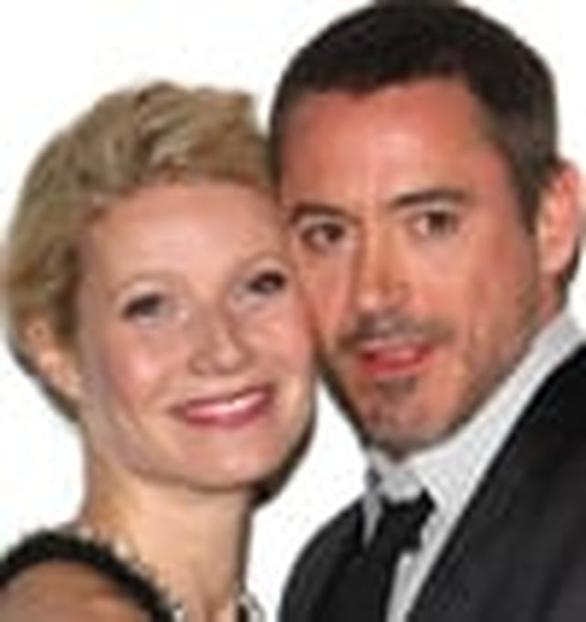 Iron Man Premiere Pictures