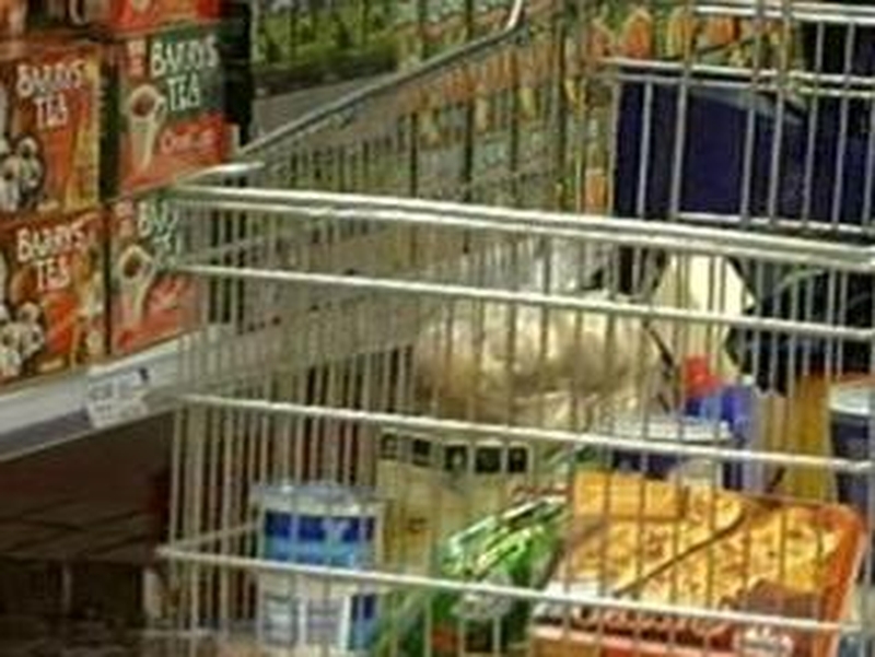 Grocery shopping - Survey highlights consumers' attitudes
