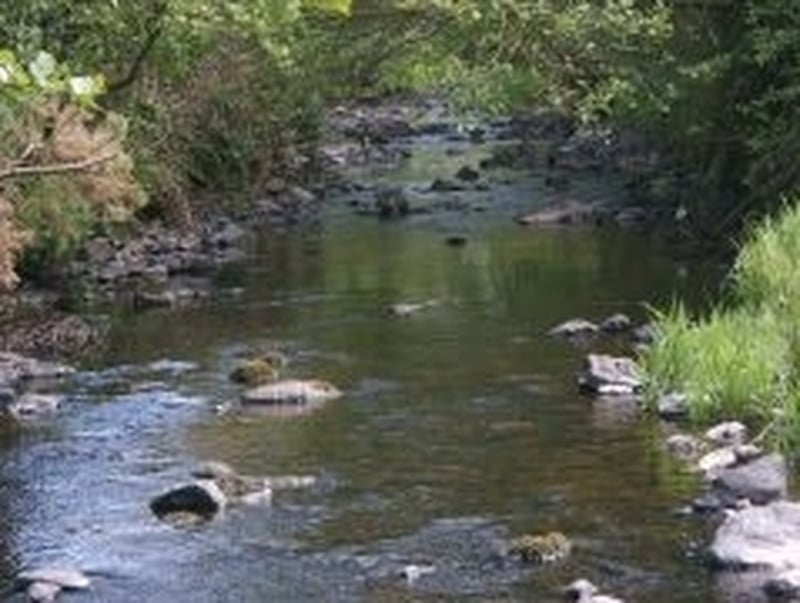 Crumlin River - Pollution incident last year