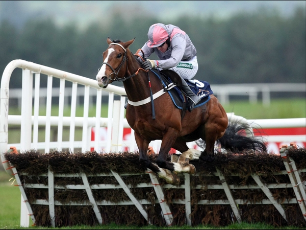 Nicky Henderson will be hoping that Punjabi can regain the winning thread after setbacks to Zaynar and Binocular