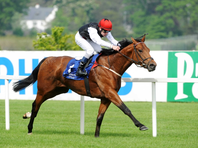 Casual Conquest could now be put away for an autumn campaign