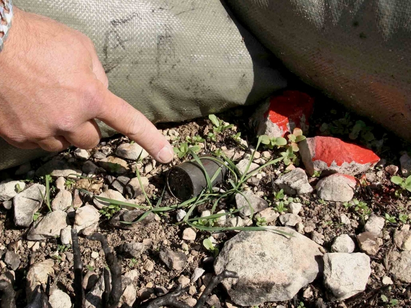 Cluster bombs - Treaty formally adopted