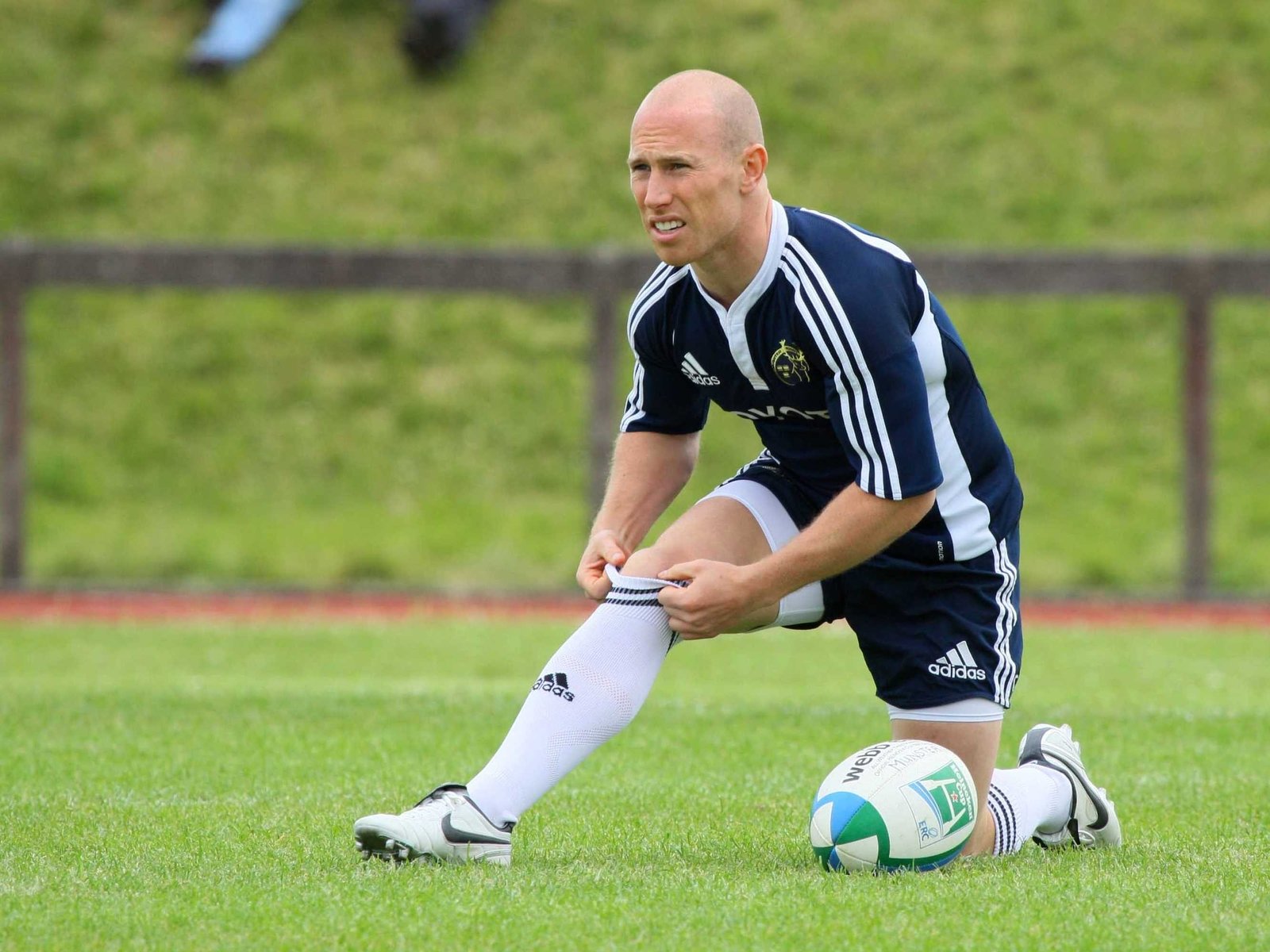 Stringer returns to the Irish line-up