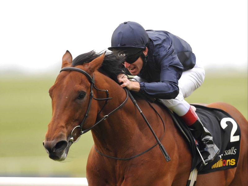 Duke Of Marmalade will not have his favoured ground at York