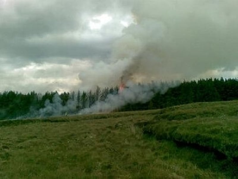 Mayo - 1,000 acres of forest destroyed