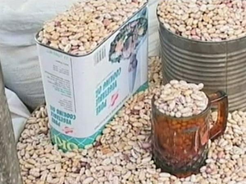 Global food crisis - Rice, corn and wheat prices at record highs