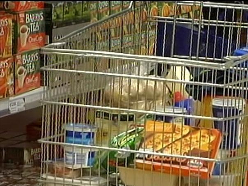 Food - Prices up 8% in 12 months