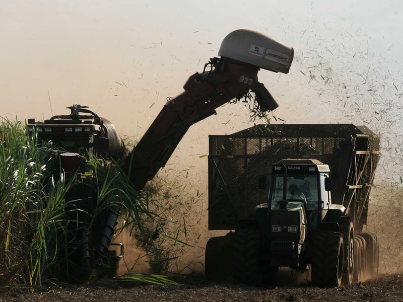 Brazil - Sugar cane harvested for ethanol production