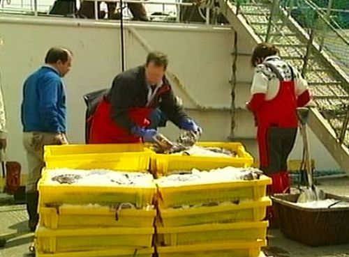 Fishing - Anglers' catches would be deducted from commercial quotas