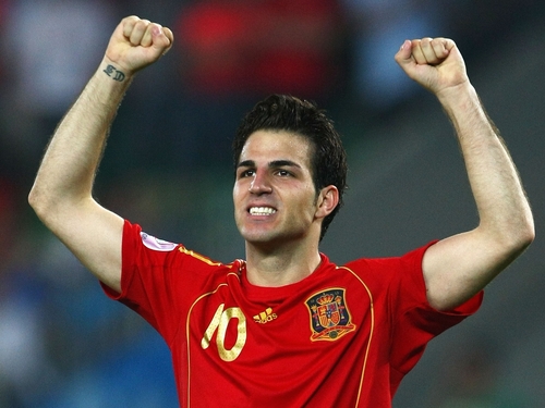 Cesc Fabregas was at the heart of Spain's attacking play when he came on in the semi-final