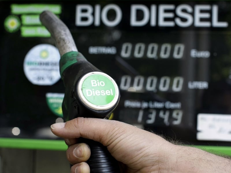 Biodiesel - Duties to last for six months