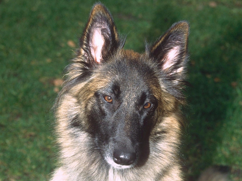 Wellard - Leaving Albert Square