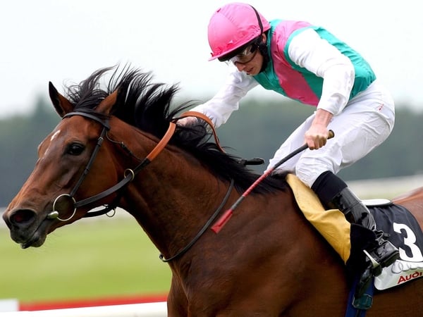 Father Time's next run will come in the Great Voltigeur, a traditional St Leger trial
