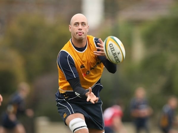 Nathan Sharpe will play no further part in Australia's Tri-Nations campaign