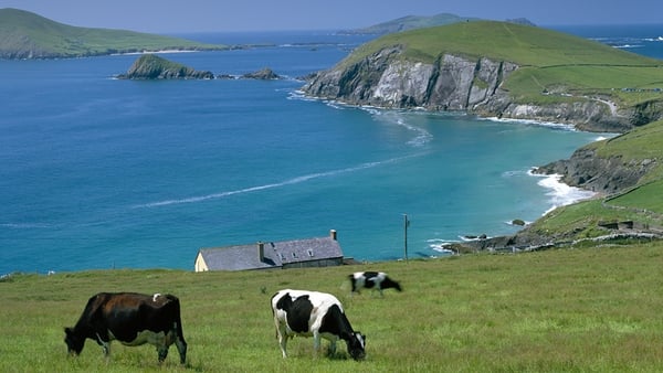 Discover Dingle Peninsula and North Kerry