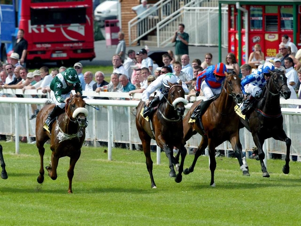 The Phoenix Stakes is always a informative event involving the younger generation