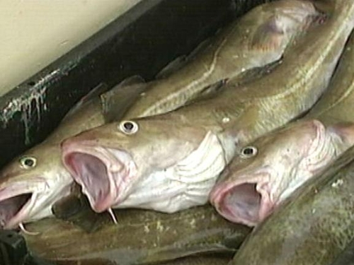 Fishing - Discussions at EU