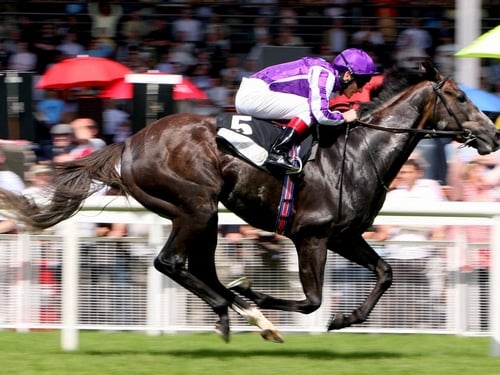 Mastercraftsman leads the O'Brien challenge