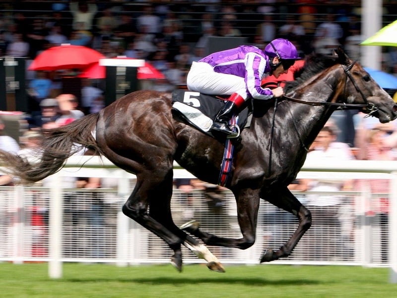 Mastercraftsman ridden by Johnny Murtagh wins the Independent Waterford Wedgewood Phoenix Stakes