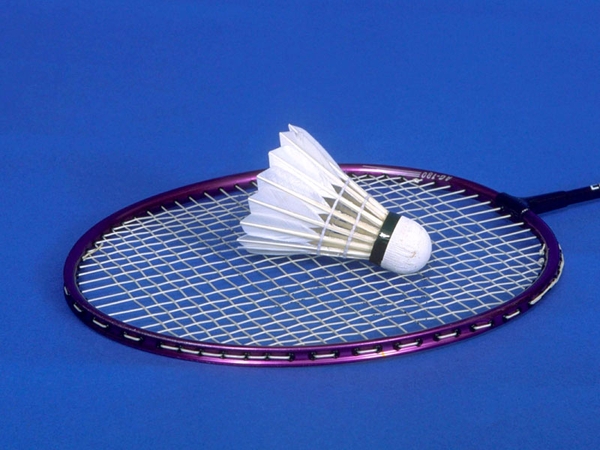 Lin bags another world badminton crown