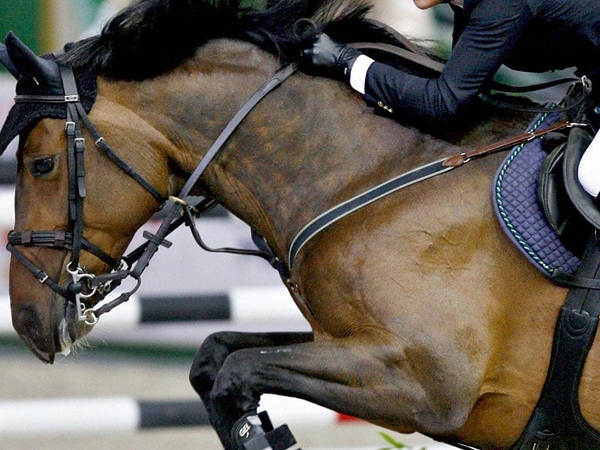 Talbot claims victory in Italy