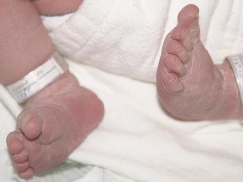Births - 10% increase since 2006