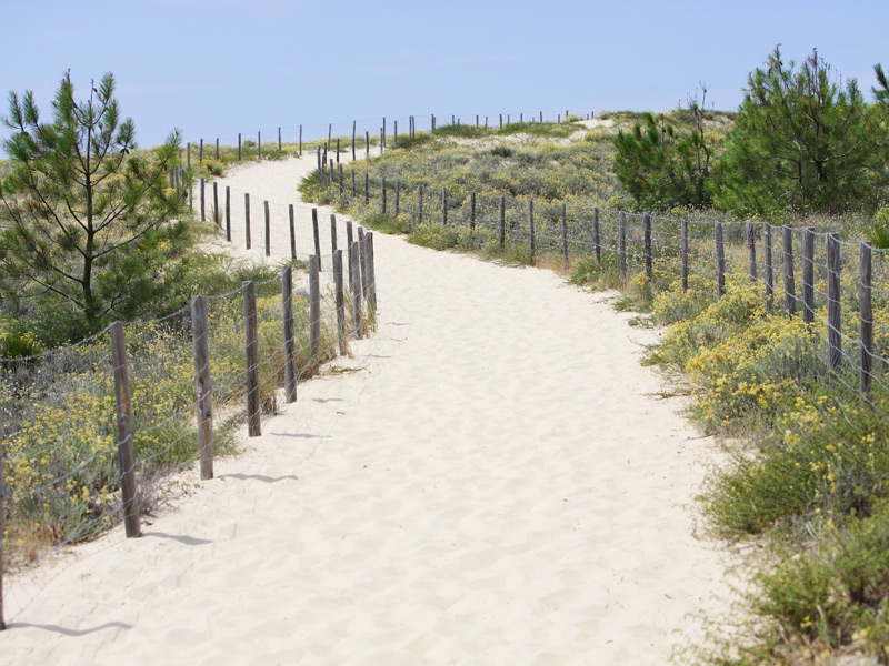 Plot will 'change Summer Bay forever'