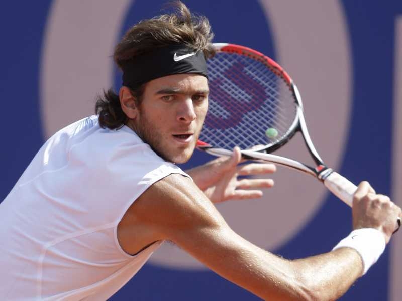 Argentina's Juan Martin Del Potro has been on the crest of a wave in recent weeks