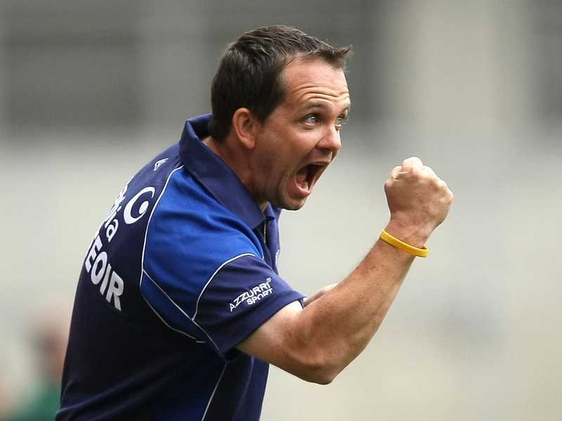 Waterford manager Davy Fitzgerald celebrates a score during today's remarkable win over Tipperary
