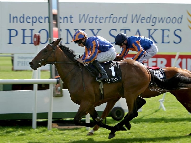 Again is the 11/4 favourite (Bet365, Totesport, Ladbrokes) for Sunday's race