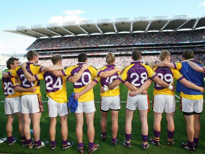 After a reasonably successful year on the field in 2008 -Wexford GAA now face a difficult task off it to find a new sponsor