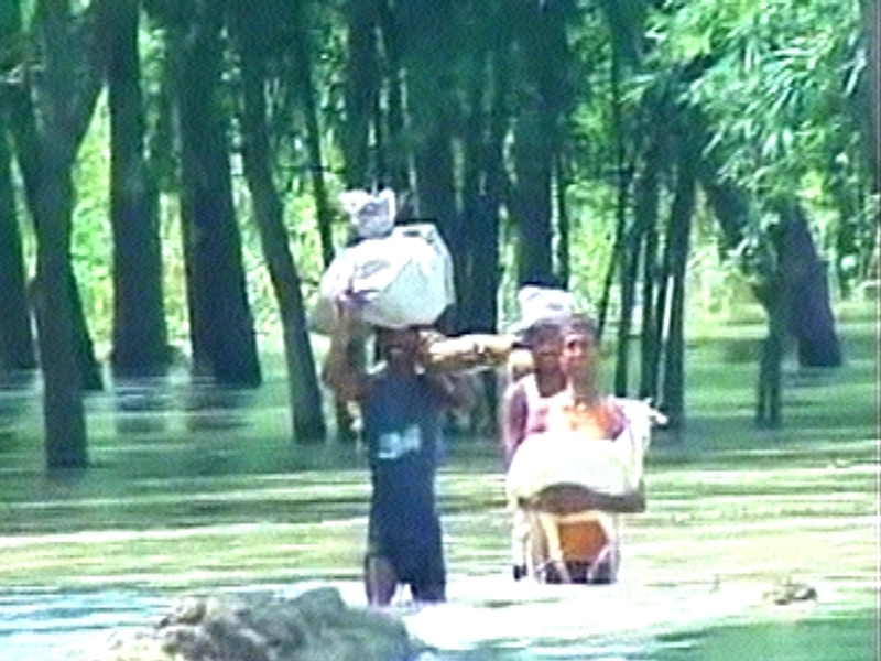India - 550,000 displaced by floods