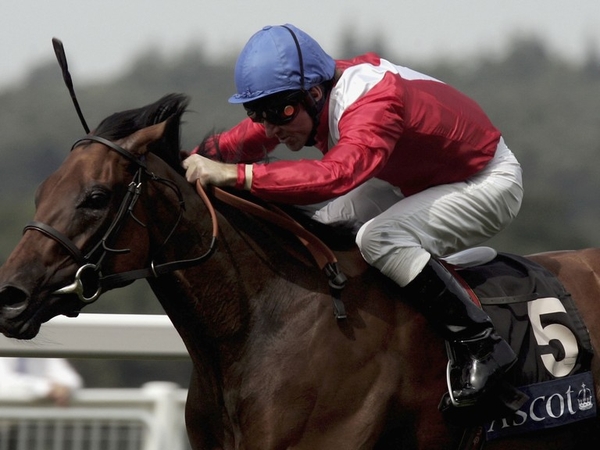 Huge shock in Hong Kong Sprint