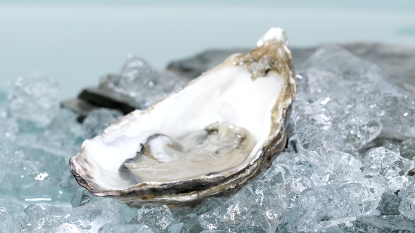 Irish Oysters with Crushed Raspberry Vinaigrette a