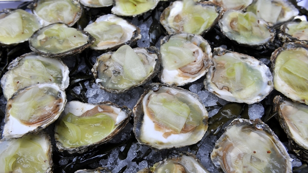 Glazed Oysters, Wilted Spinach and Smoked Bacon wi