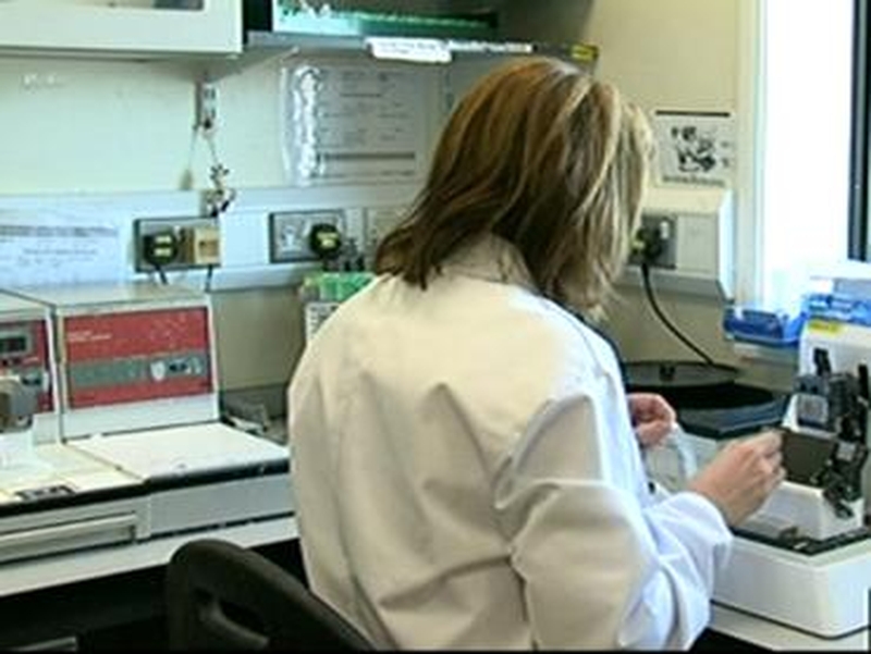 Elan drug - Phase 3 testing on bapineuzumab halted