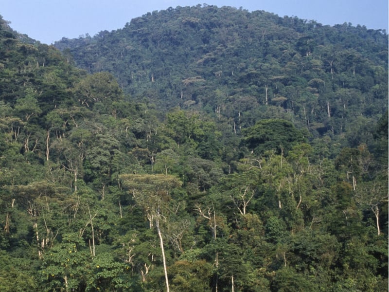 Uganda - Fighting along borders