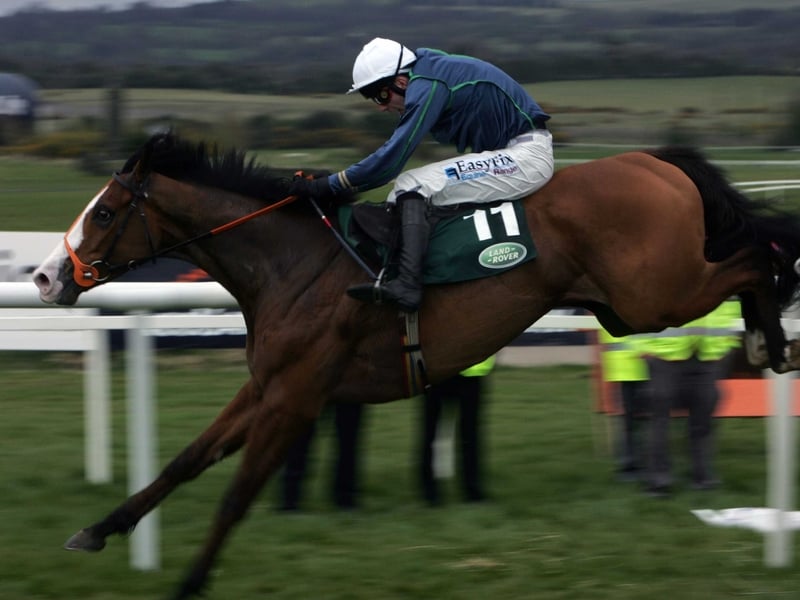 Dessie Hughes reckons Tranquil Sea will be the main rival to his charge Schindlers Hunt at Cheltenham