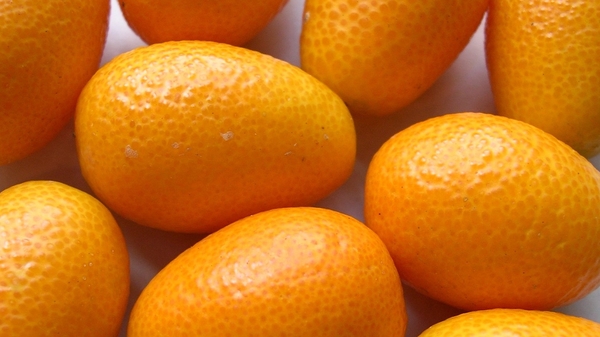 Kumquat and Ginger Frangipane Tart