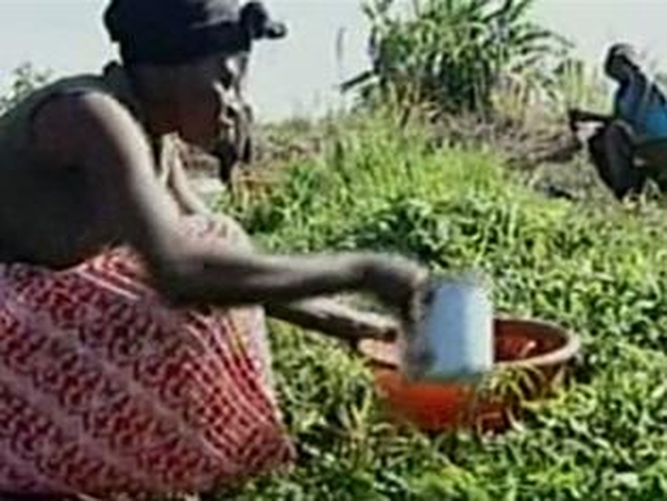 Zimbabwe - Major cholera outbreak